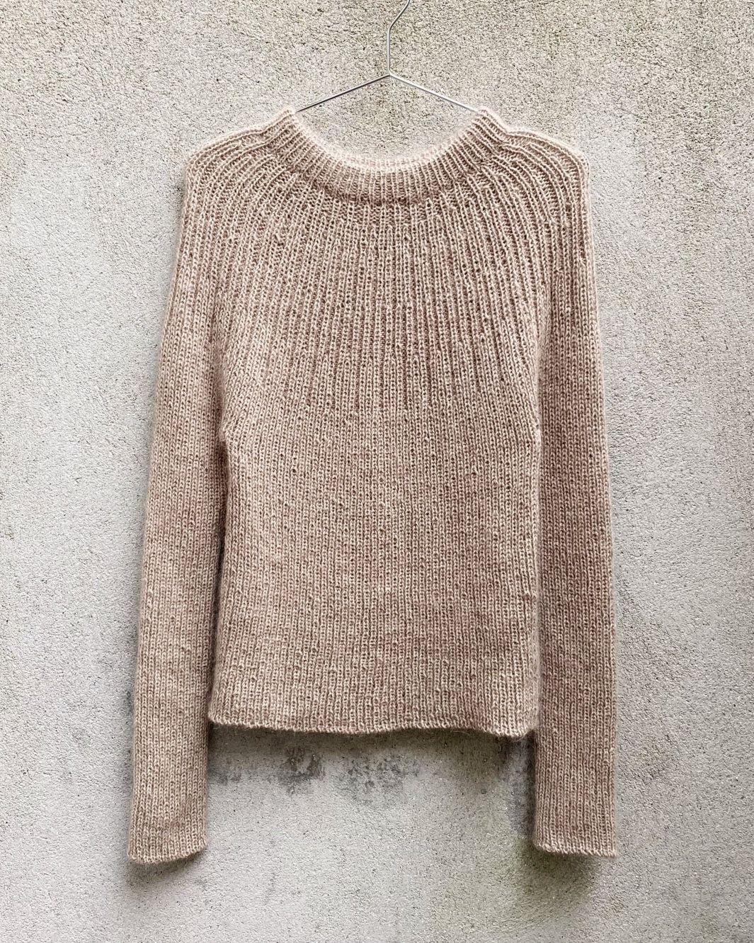 Bellis Rib