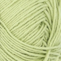 9523 Lime Punch