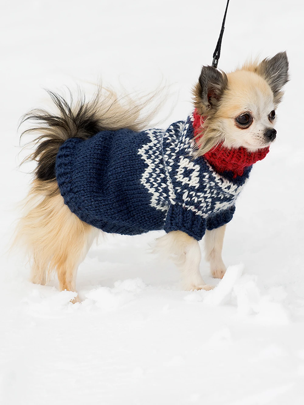 Marius hund Marius hund