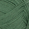 Sunday – 8073 Elm Green