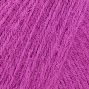 Fuchsia 0016