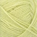 9523 Lime Punch