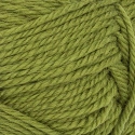 Smart 9564 Matcha