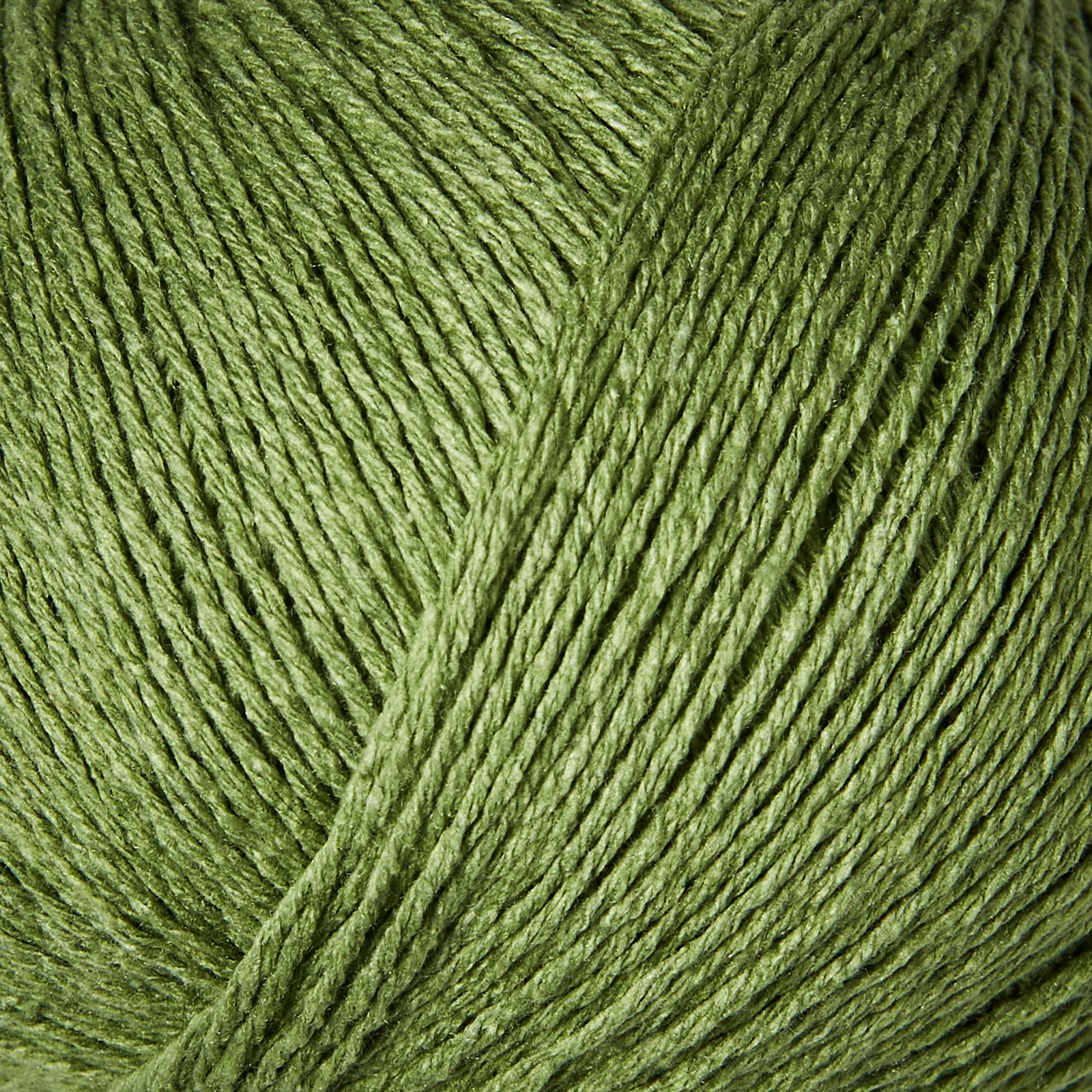 Ærteskud /Pea Shoots