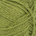 Line 9564 Matcha