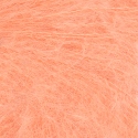 3313 Coral Reef