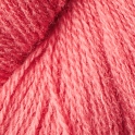 19 Skarp Rosa