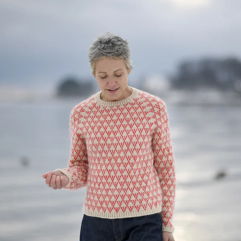 Spot Regular Spot Regular