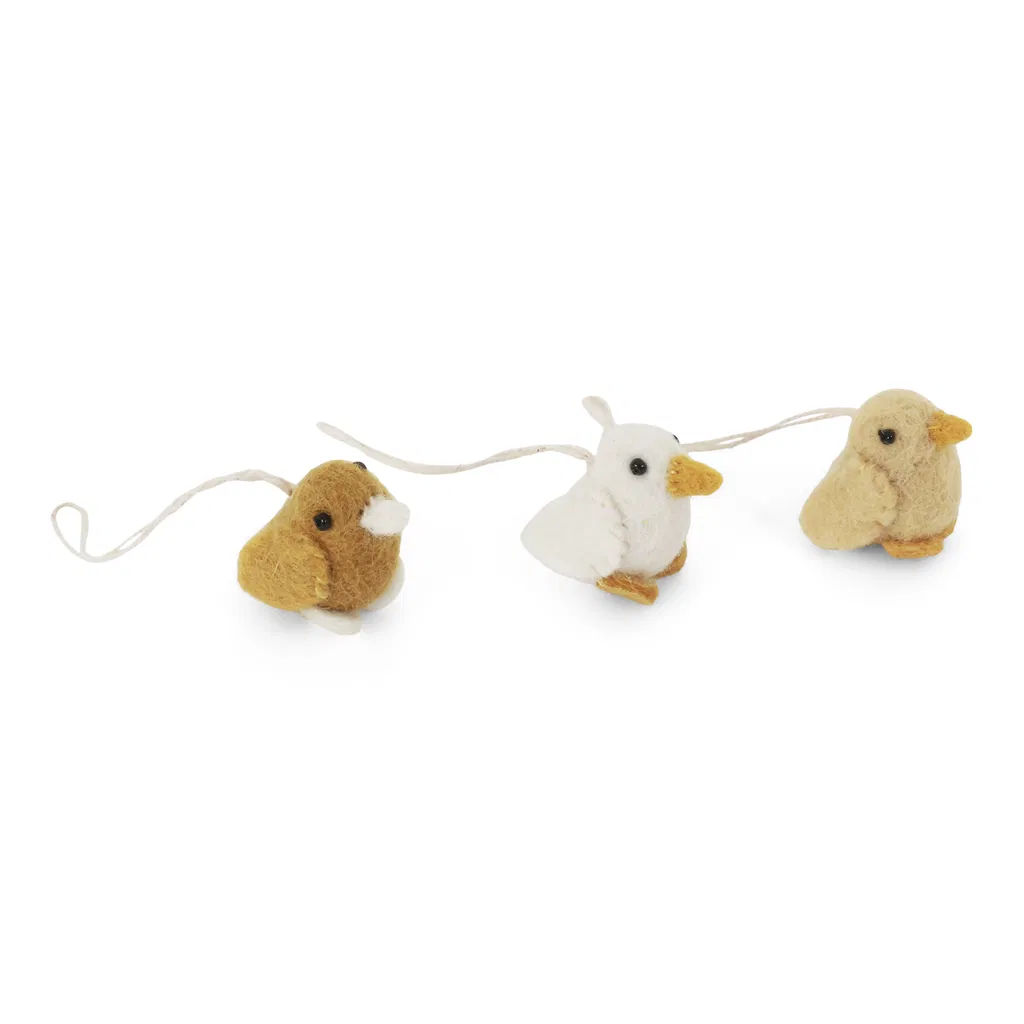 Chicklet Bird - Set of 3 Chicklet Bird - Set of 3