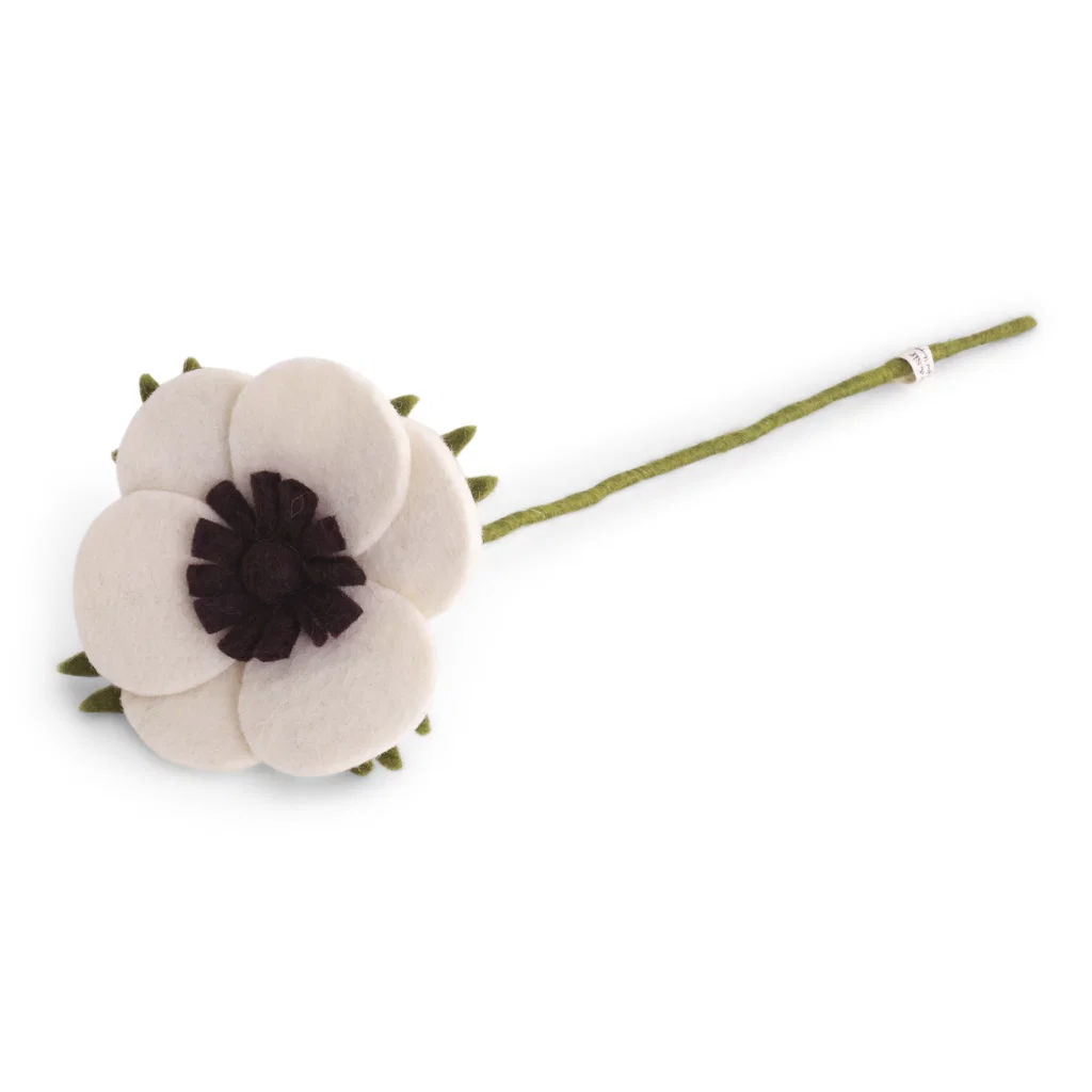 French Anemone - White French Anemone - White