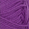 Double Sunday 5045 Plum