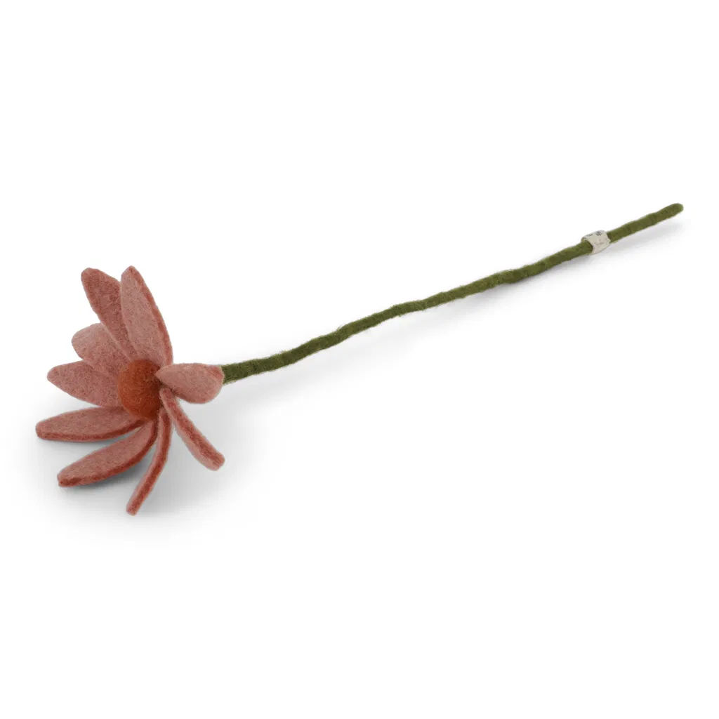 Cosmos Flower - Light Peach