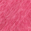 Rosa 002
