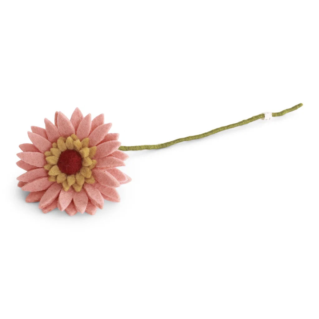 Gerbera Flower - Light Peach Gerbera Flower - Light Peach