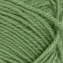 Peer Gynt 8753 Vineyard Green